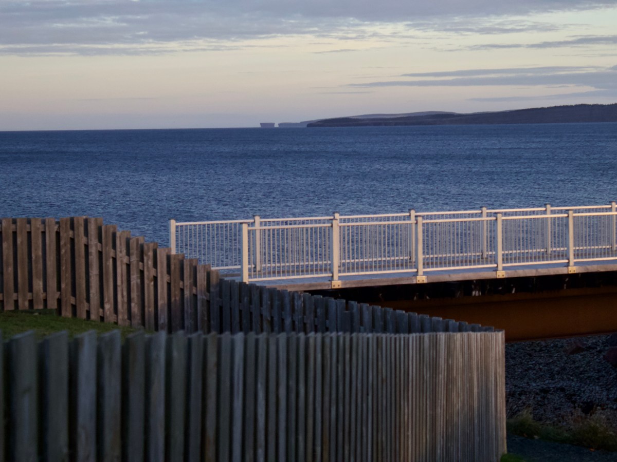 Conception Bay South